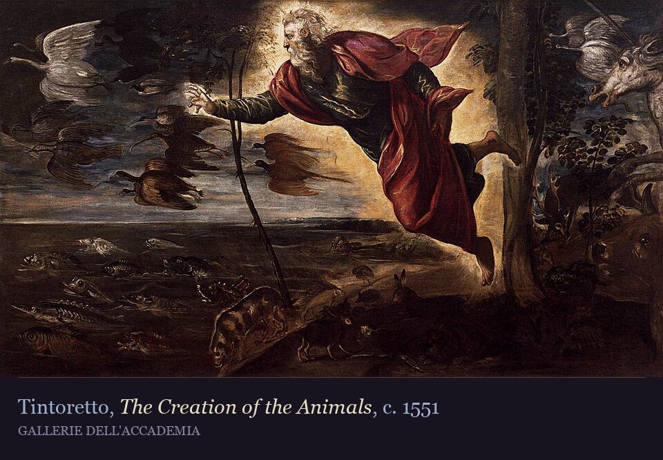 Genesis 1:20-23